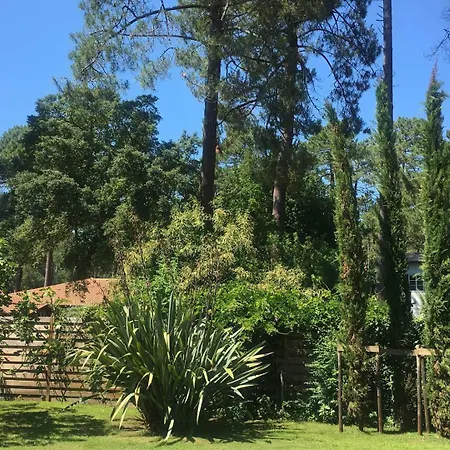 别墅 Baradarena Avec Piscine Chauffee Et Jardin Pour 10 Personnes *